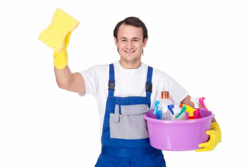 Deep cleaning and one-off cleaning options