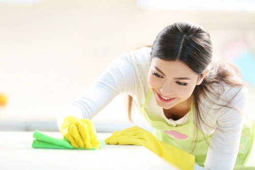 Routine oven maintenance and degreasing in Uxbridge