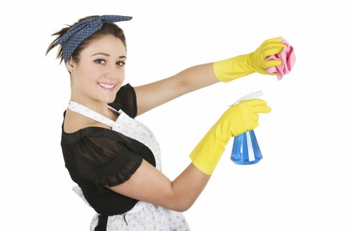 Cleaner wearing PPE while carrying out a hygienic cleaning task